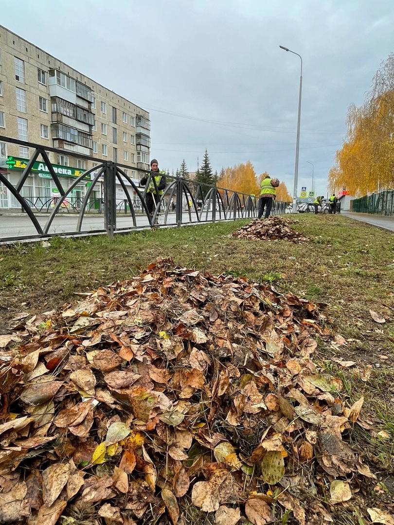 В Полевском подходят к завершению осенние субботники | Гор.Сайт